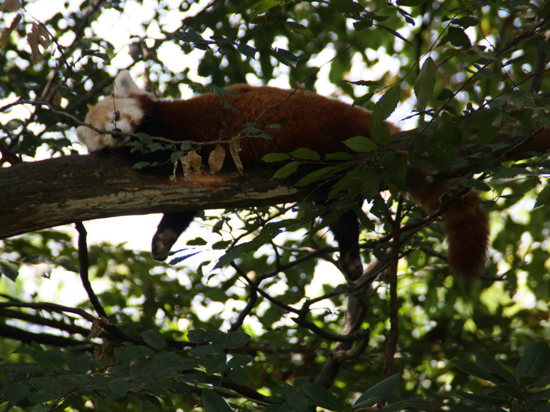 Parco Faunistico La Torbiera-Agrate Conturbia必去景点