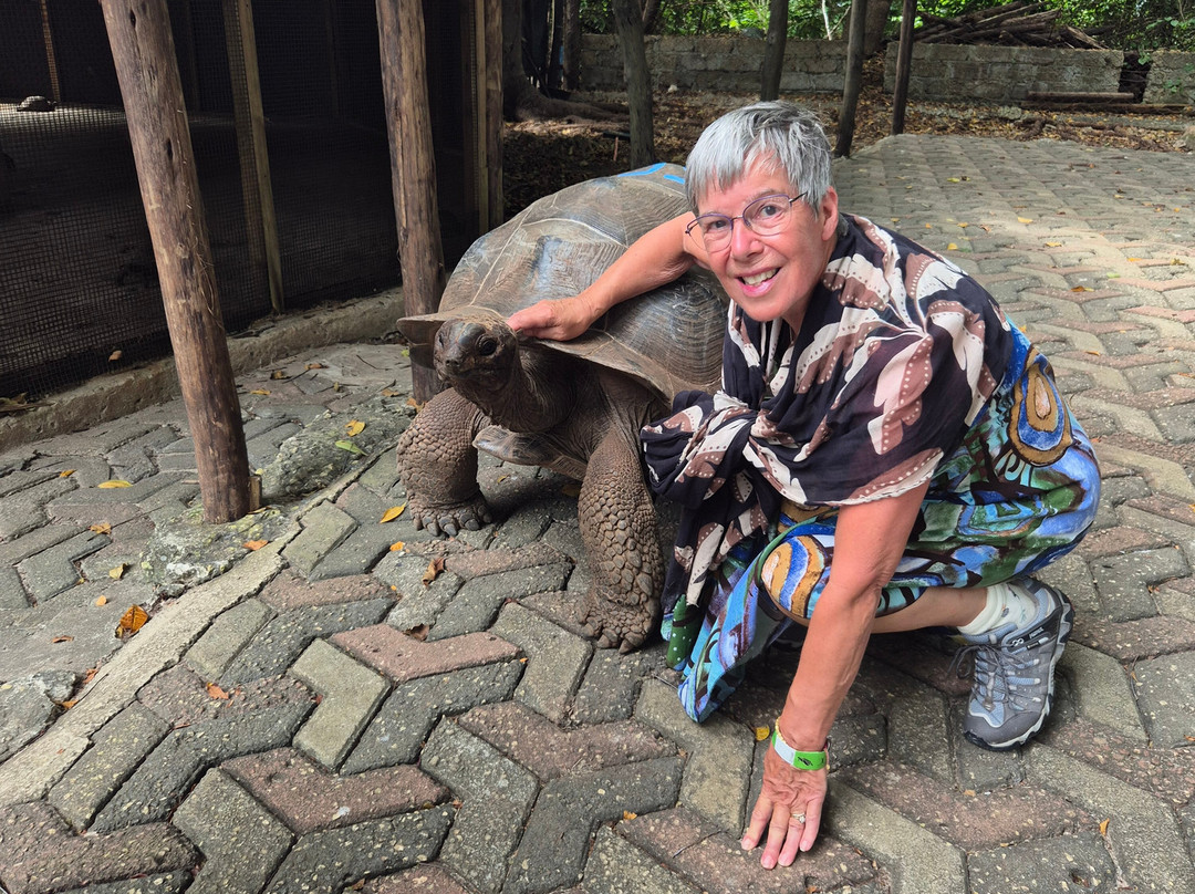 Oasis Overland-Coombe Bissett必去景点