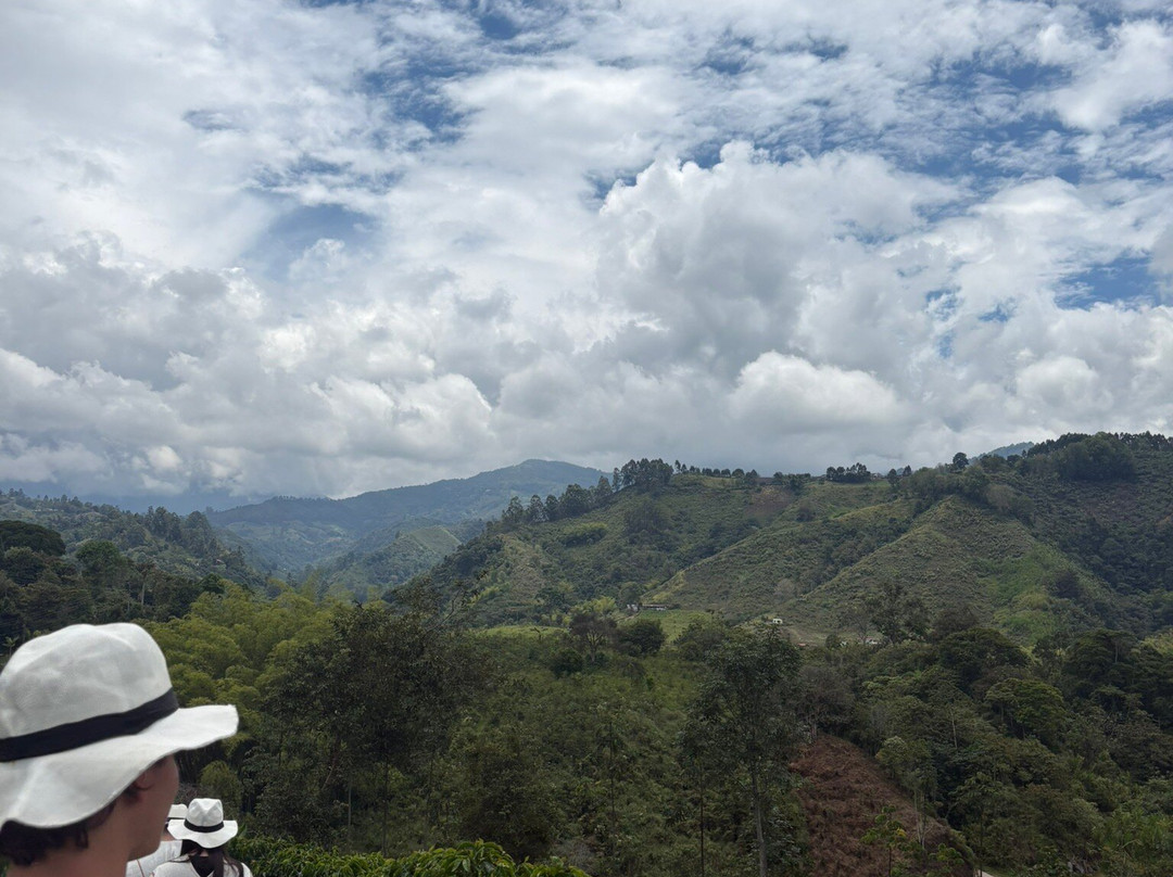 Finca  Buenos Aires coffee Tour-萨伦托必去景点