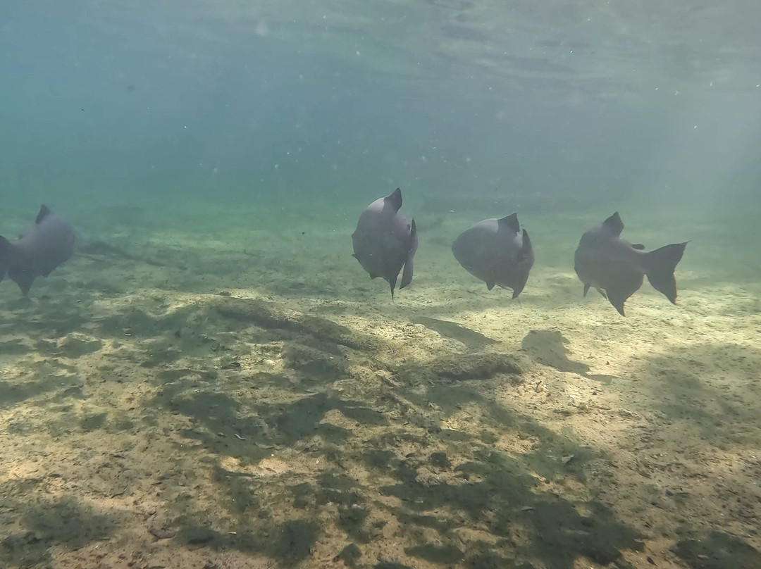 Florida Dive Company-橙县必去景点