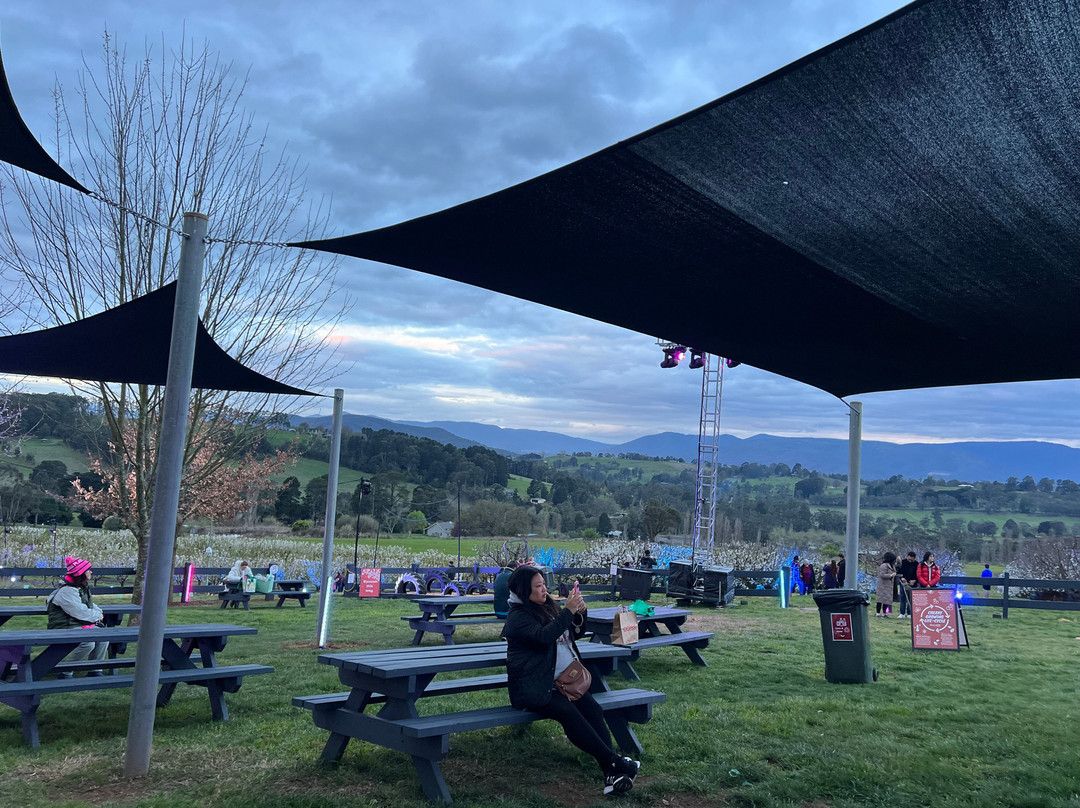 Cherryhill Orchards-Wandin East必去景点