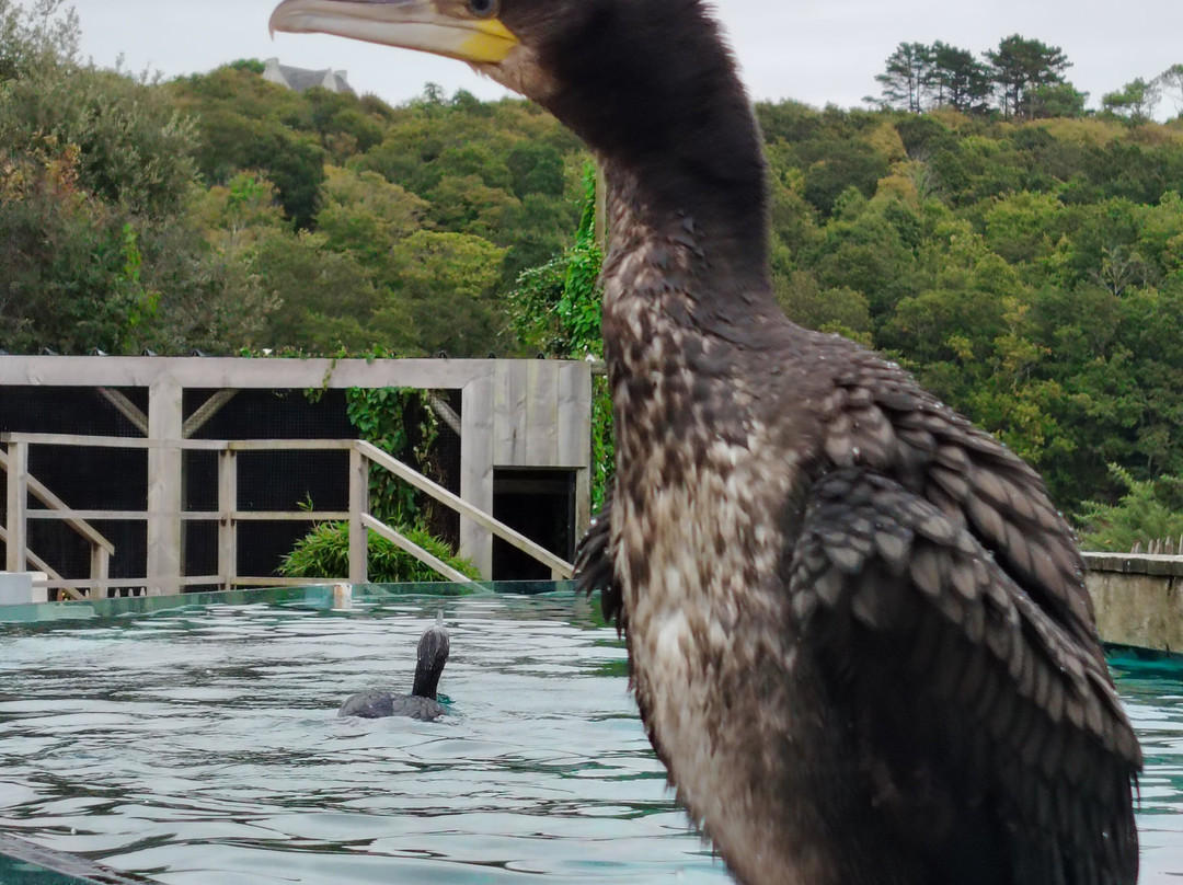 L'Aquashow-Audierne必去景点