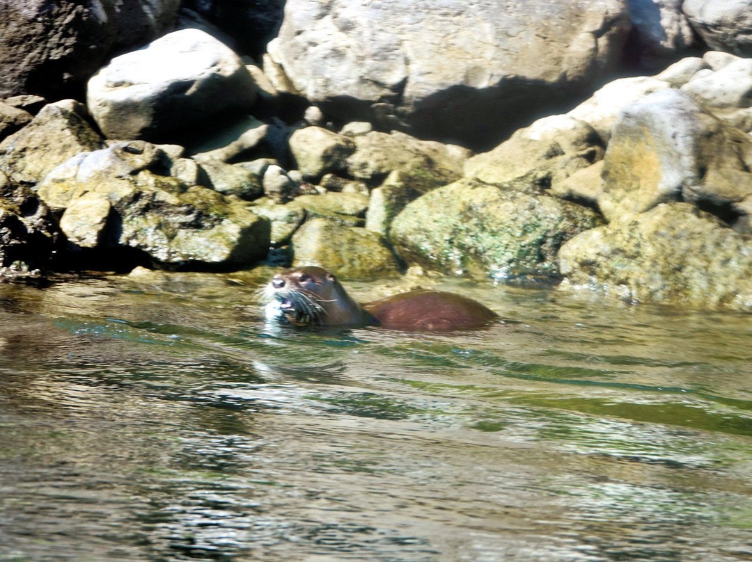 Beamers Hells Canyon Tours-Clarkston必去景点