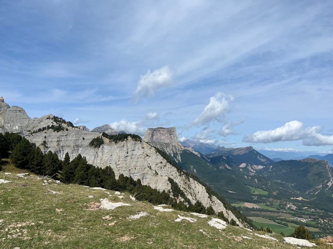 La Maison Rose主图