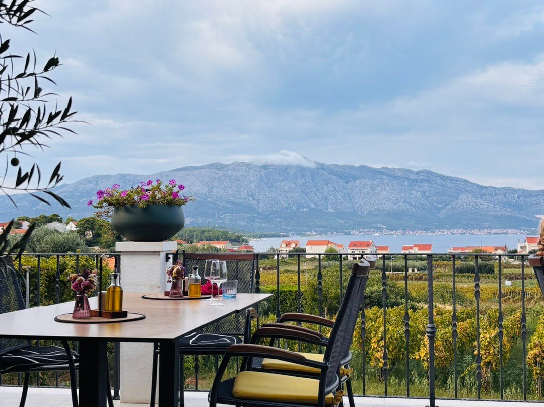 Popic Winery Lumbarda-伦巴达必去景点