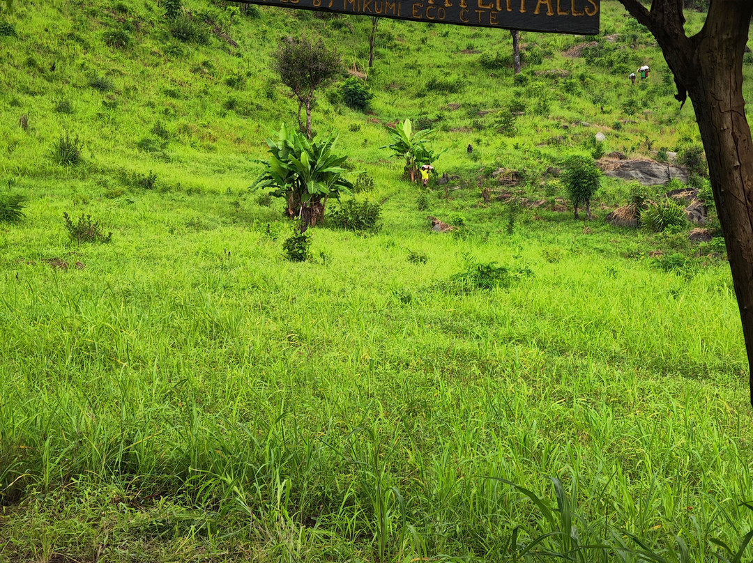 Chizua Waterfalls  Mikumi National Park-米库米国家公园必去景点