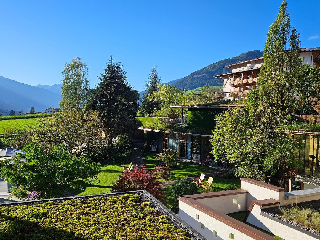 Gardenhotel Crystal主图