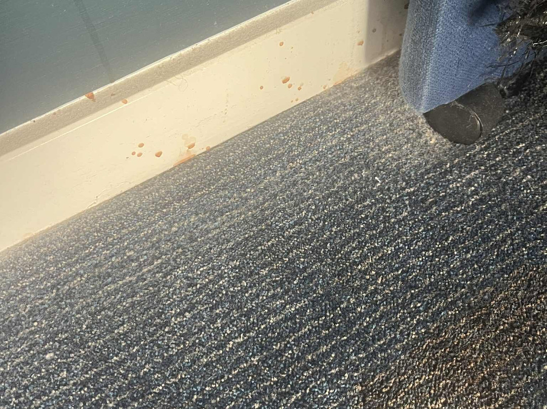 Travelodge Preston Central主图