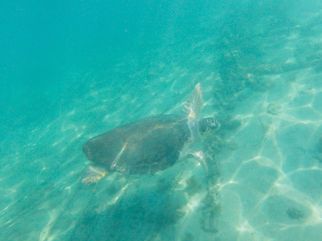 SUP Tours Paphos-Coral Bay必去景点