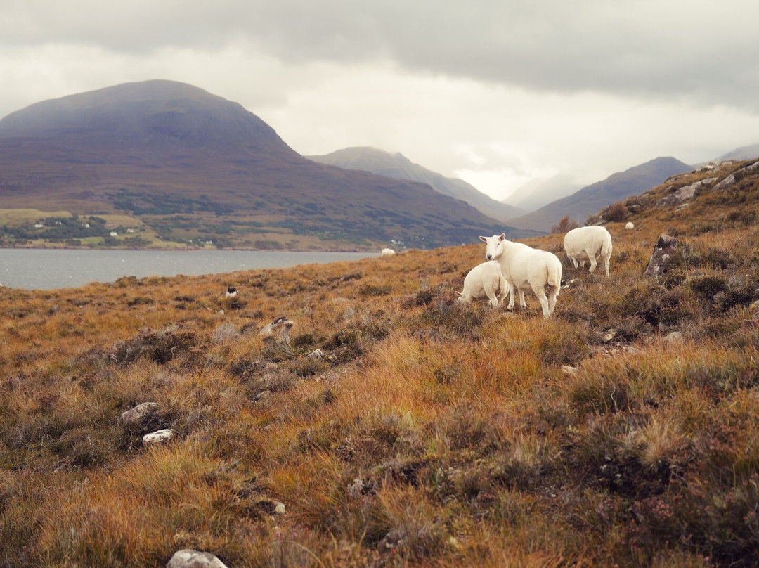 Torridon Outdoors-Torridon必去景点
