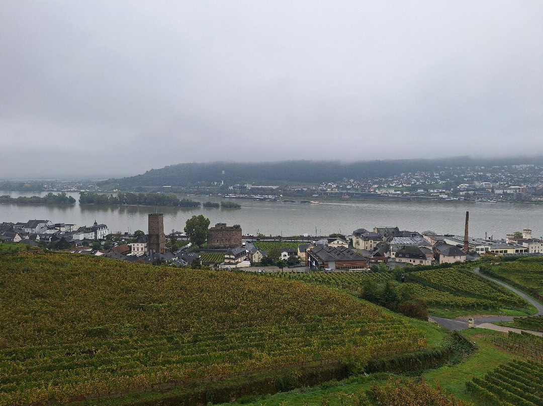 Seilbahn Rudesheim-吕德斯海姆必去景点