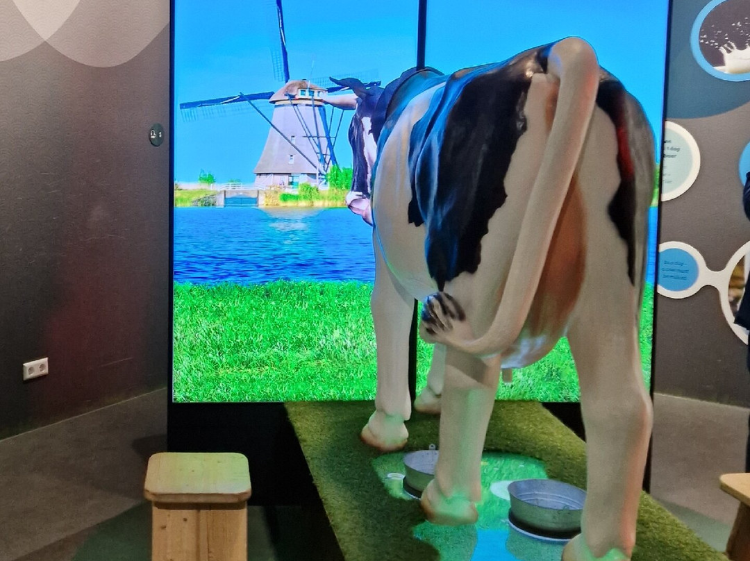 Gouda Cheese Experience-高德必去景点