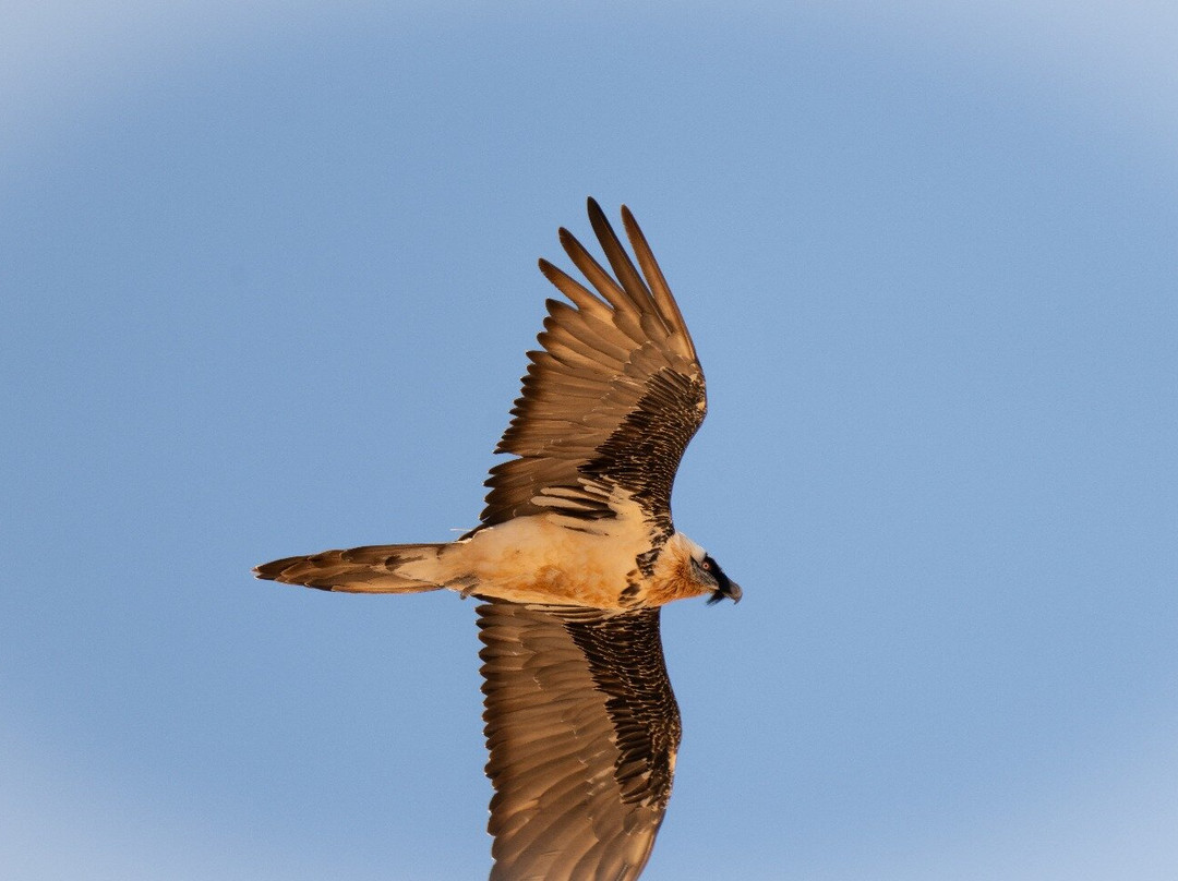 EcoActiva Turismo Activo-格拉纳达必去景点