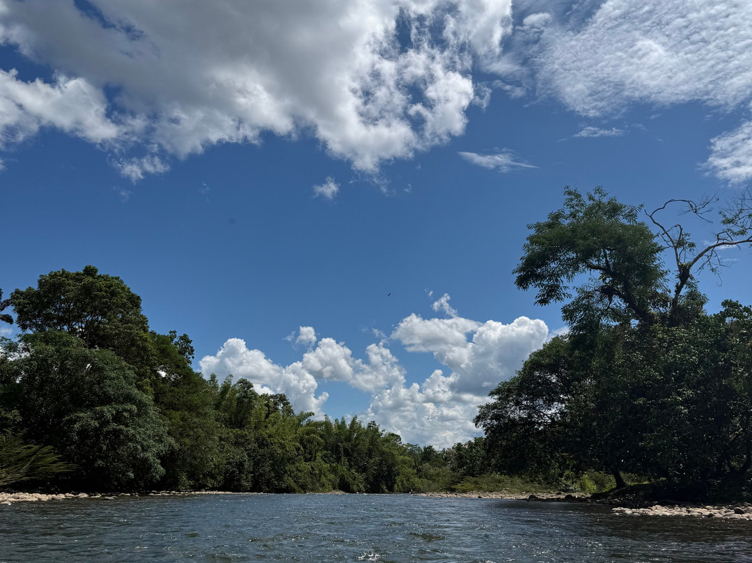 绿色家庭旅馆主图