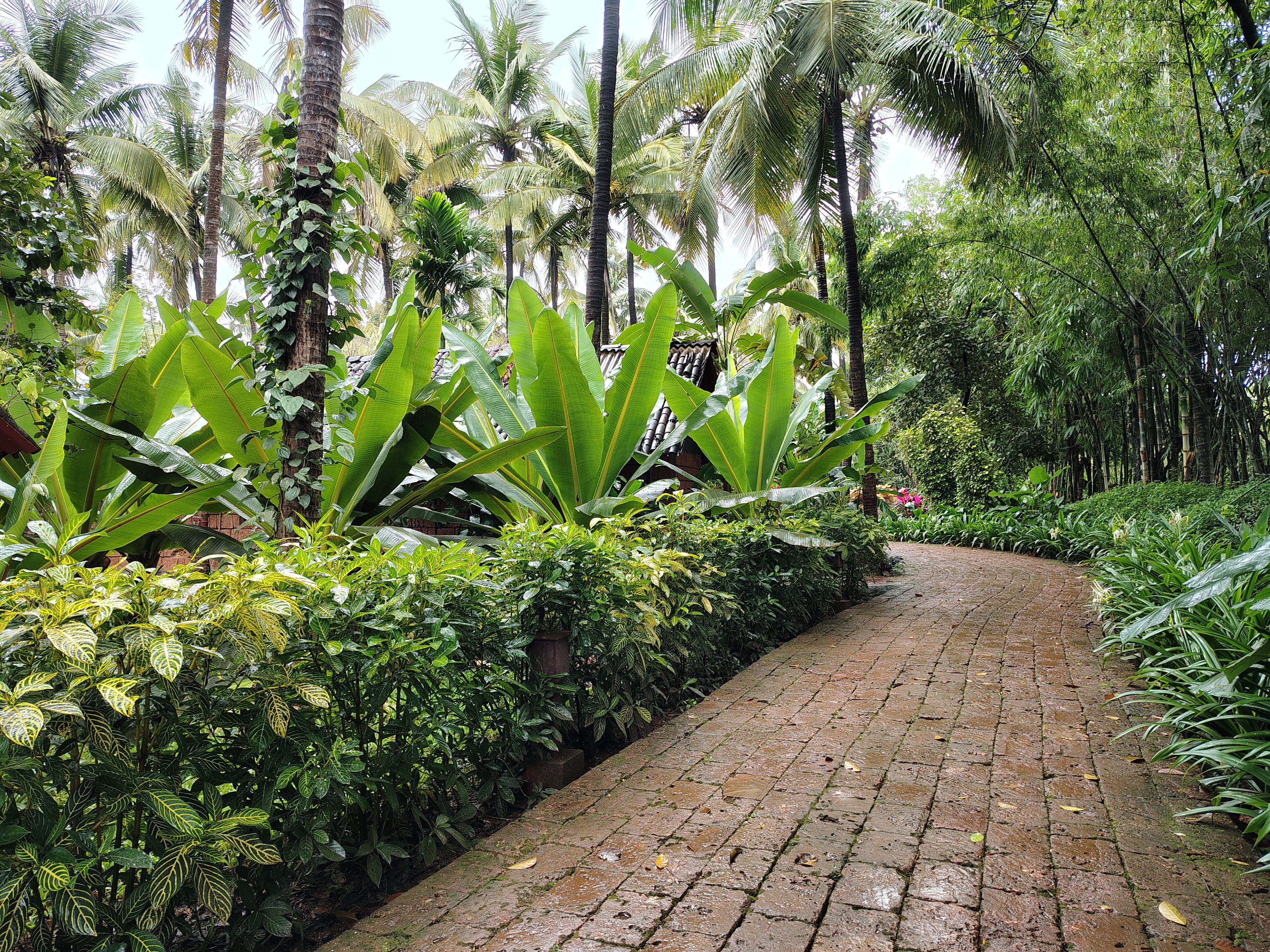 The Orchard Resort-浴室