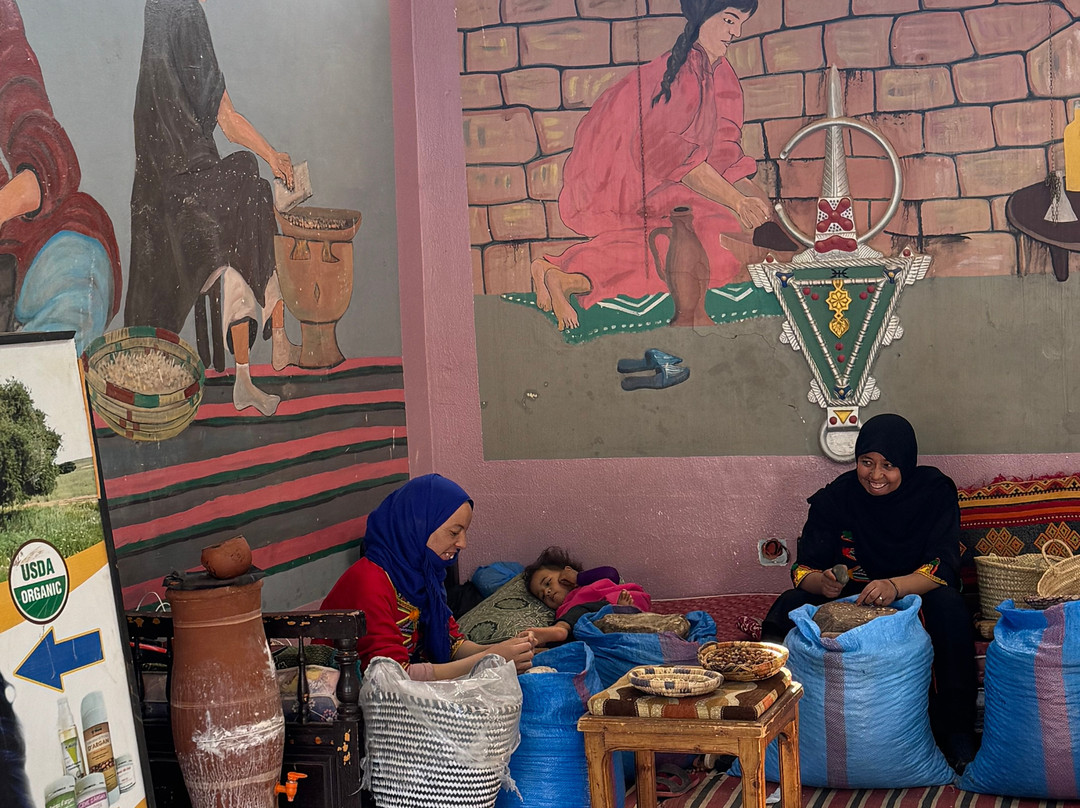 Sahara Tours Marocco-马拉喀什必去景点