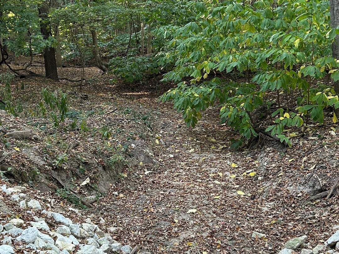 Forest Park Nature Center-皮奥里亚必去景点