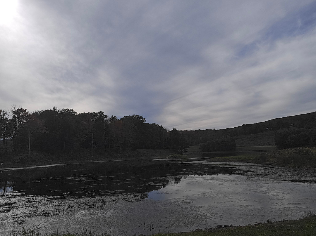 Mountain Treasure主图