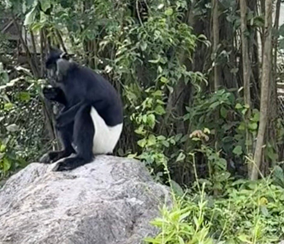 Trang An Tours-宁平必去景点