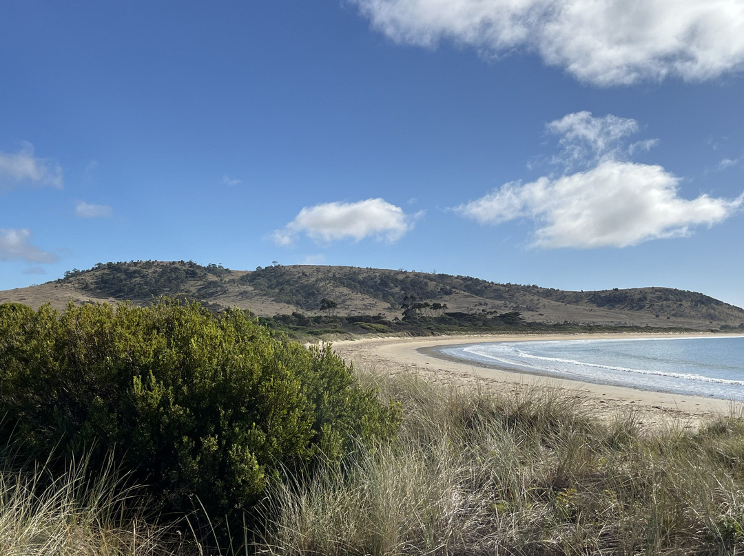 Spiky Beach Conservation Area-斯旺西必去景点