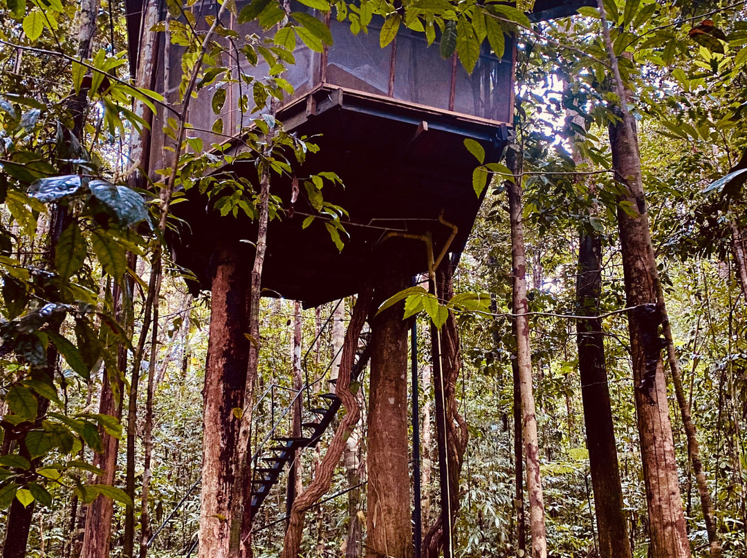 Reserva Natural Tanimboca-莱蒂西亚必去景点