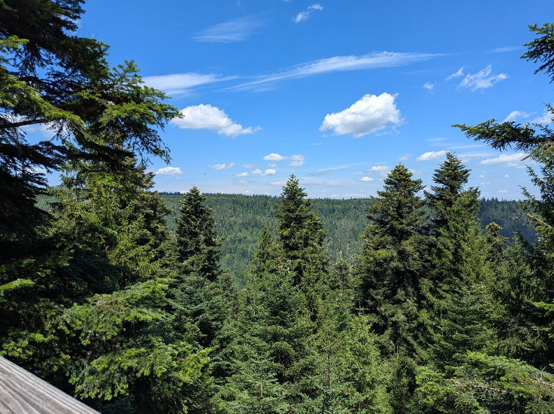 The Sommerberg Funicular Railway-Bad Wildbad必去景点