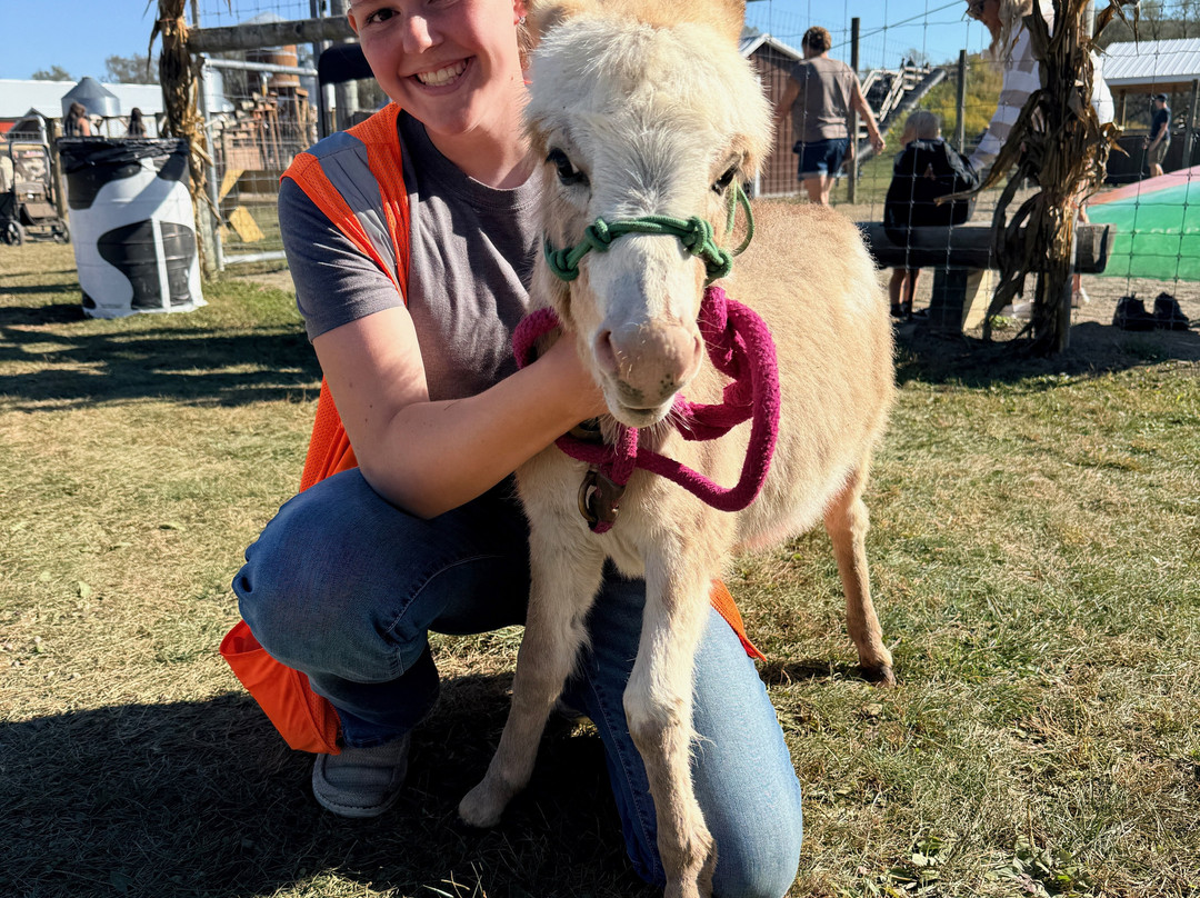 Pumpkinville-Great Valley必去景点