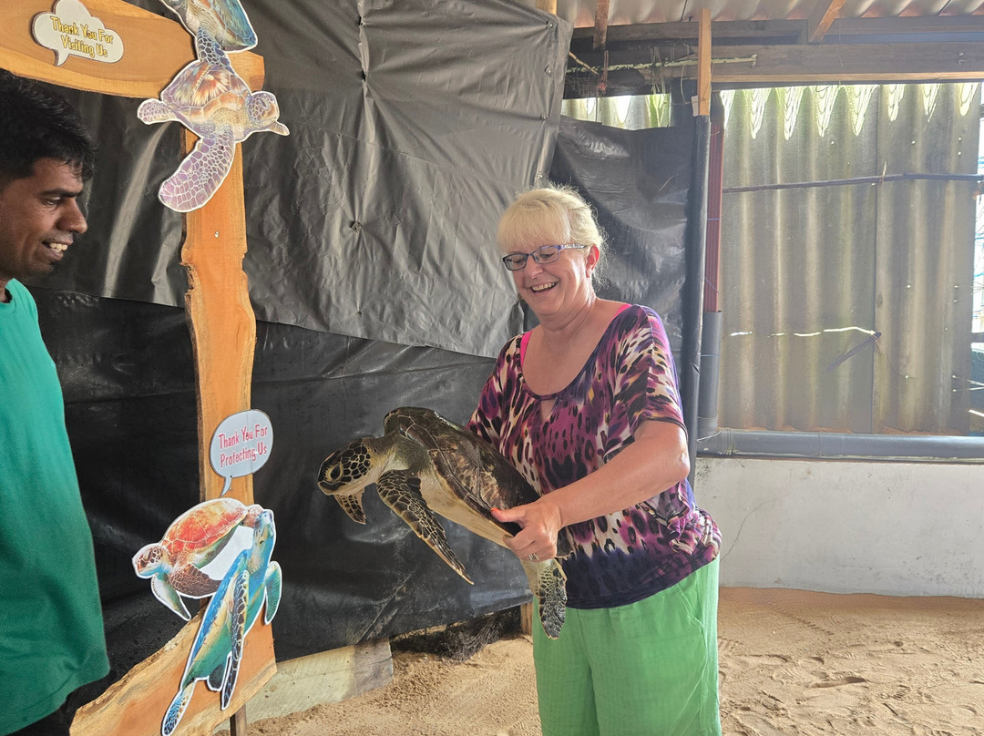 Revro Travels-科伦坡必去景点