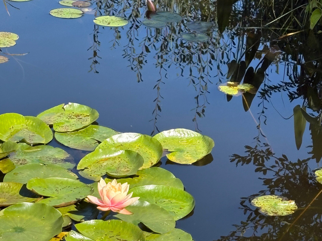 松山米尔布旅馆及Spa主图