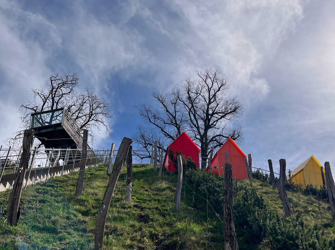Biergarten am Zeiselberg