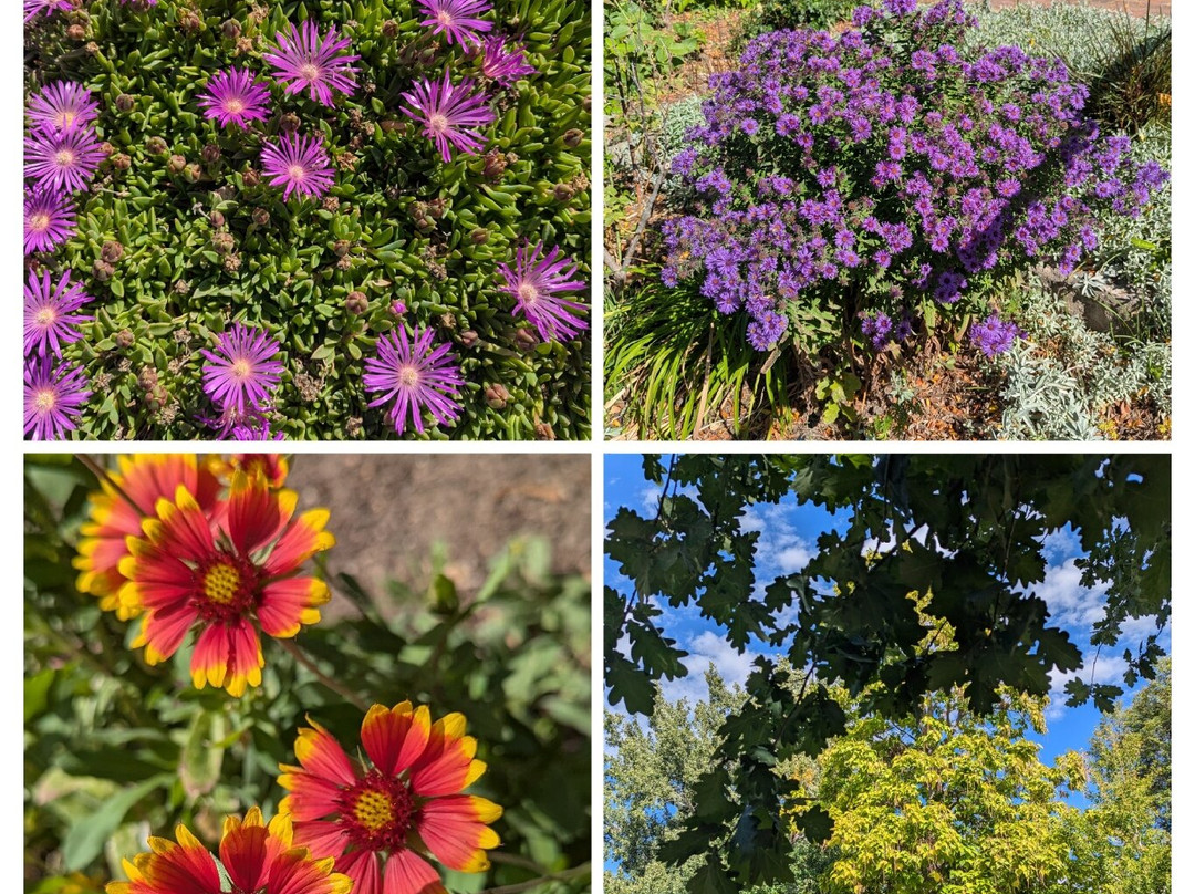 Idaho Botanical Garden-博伊西必去景点