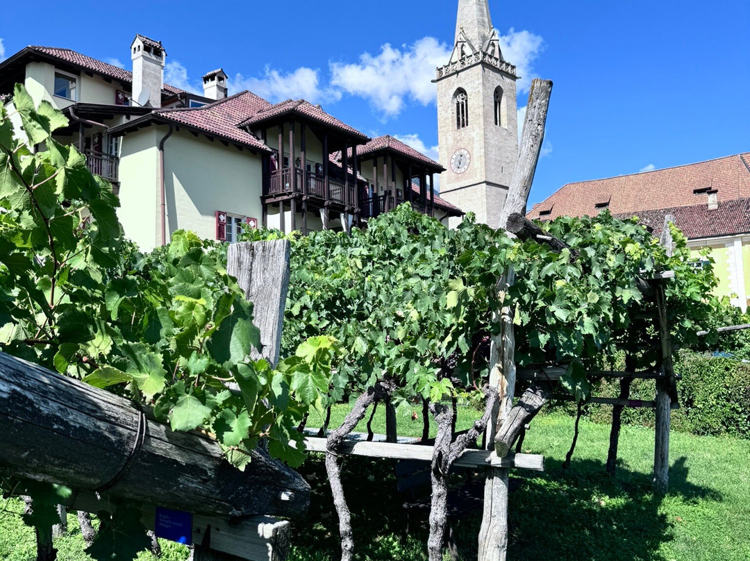 Sudtiroler Weinmuseum-Caldaro sulla Strada del Vino必去景点