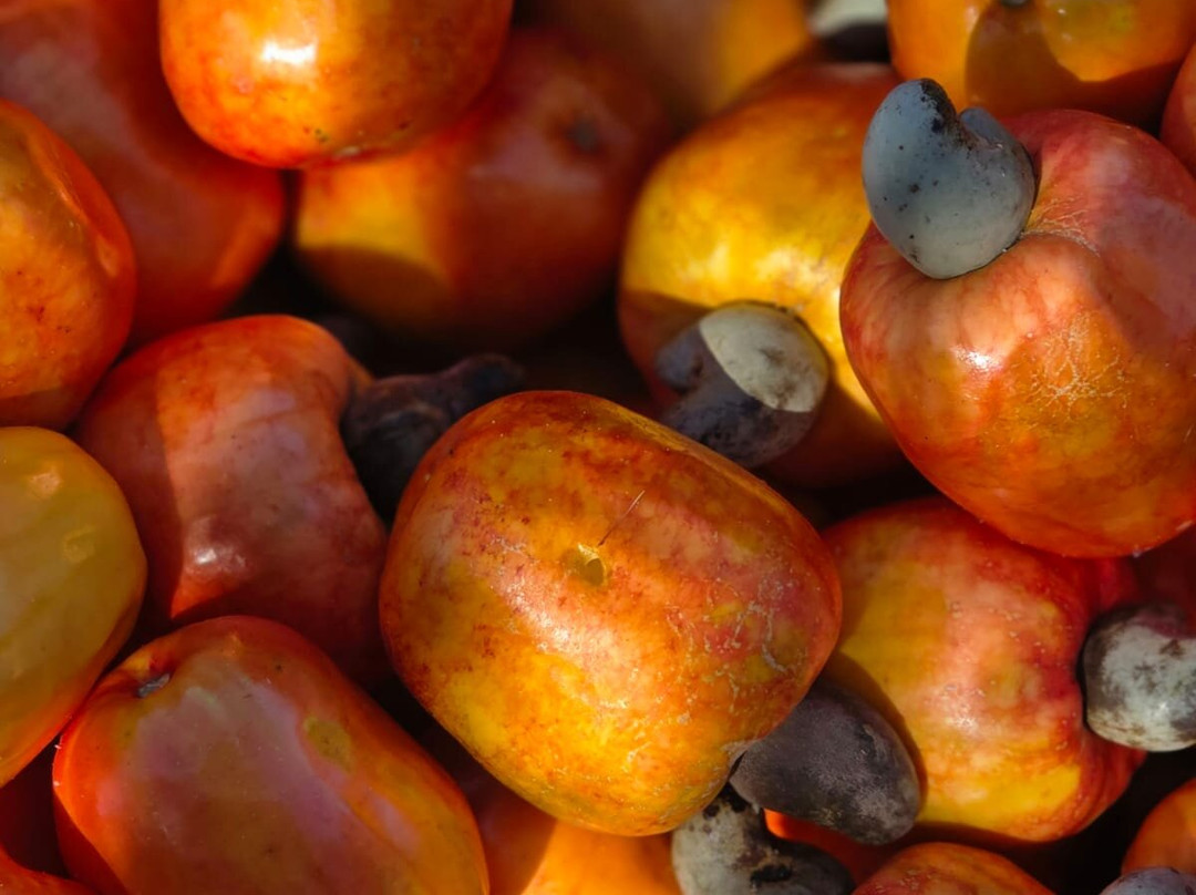 Rota do Caju-Fortim必去景点