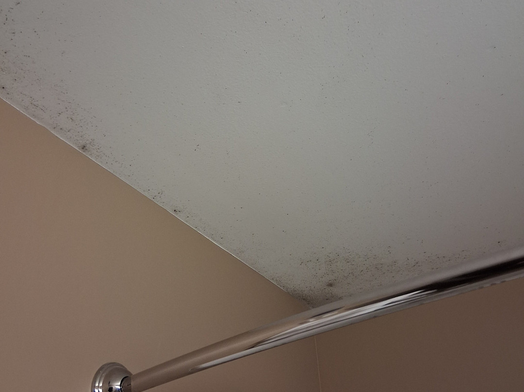 Microtel Inn & Suites by Wyndham Cambridge主图