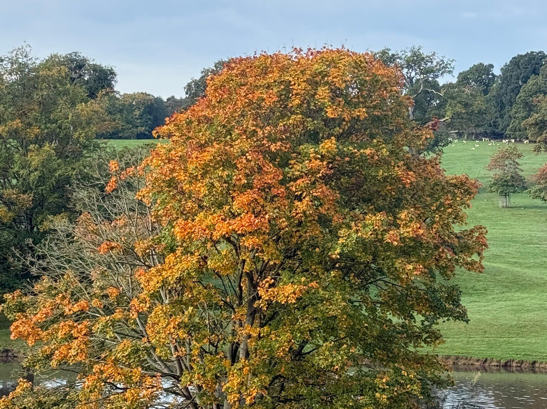Ripley Castle and Gardens-哈罗盖特必去景点