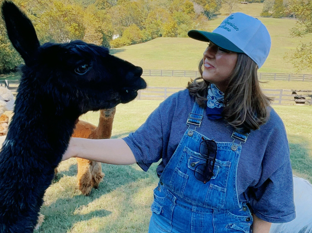 Coleman Valley Alpaca Farm-富兰克林必去景点