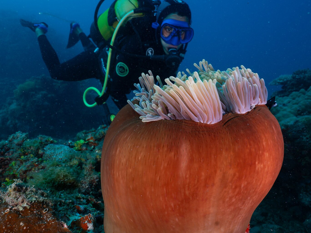 Océane's Dream-Ambatoloaka必去景点