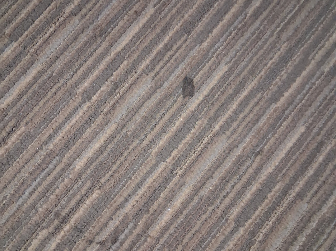 Majestic Mountain Inn主图