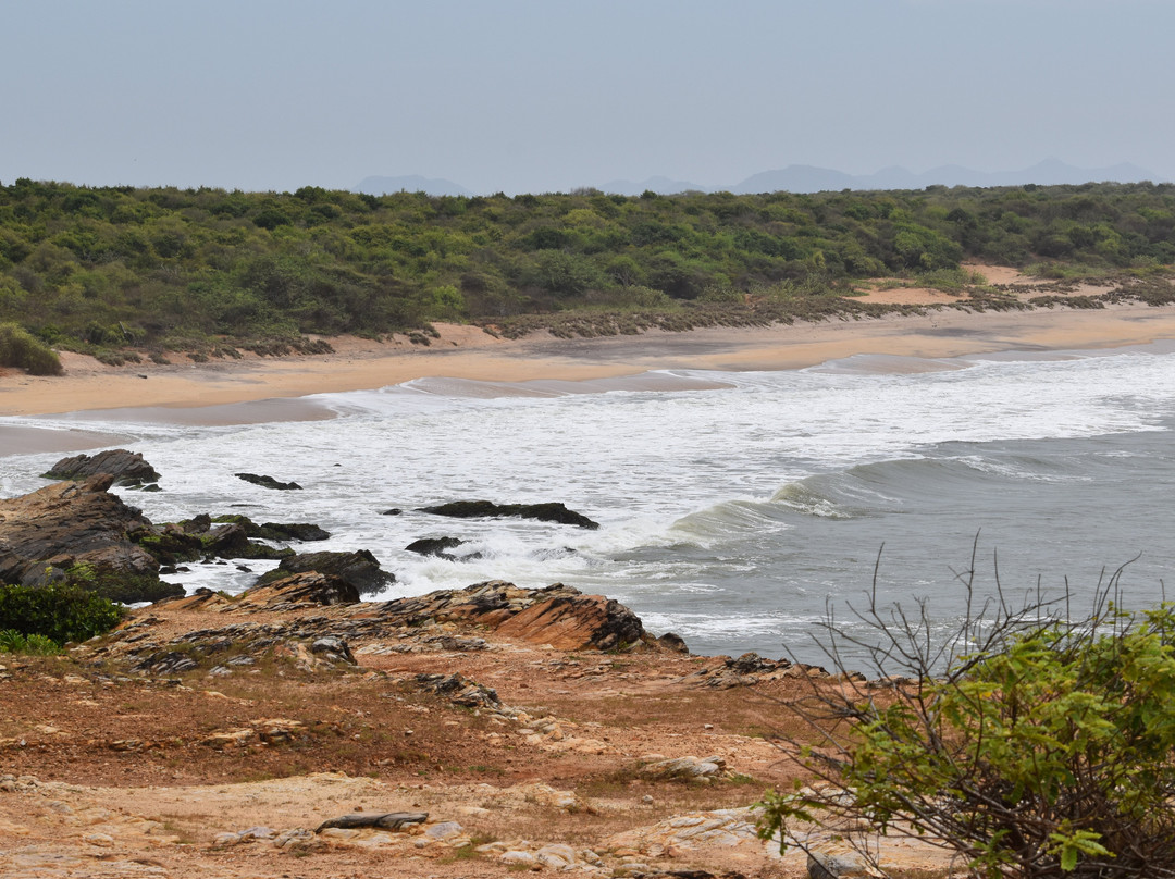 Bundala National Park-Hambantota必去景点