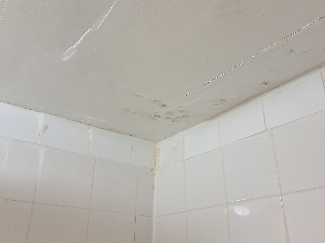 Super 8 by Wyndham Stettler主图