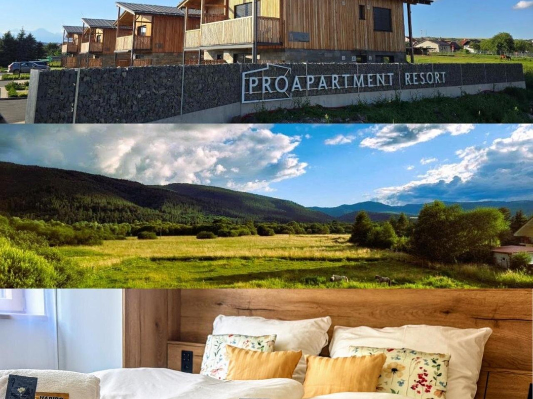 Apartmany Hrabusice