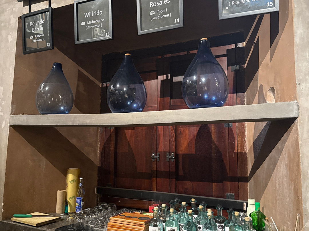 Xoul Art & Mezcal-巴利亚多利德必去景点