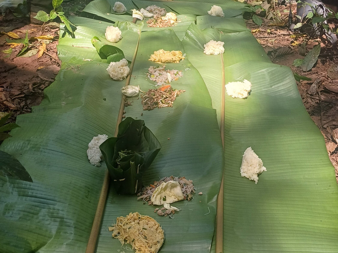 Into the Wild Laos-琅南塔必去景点