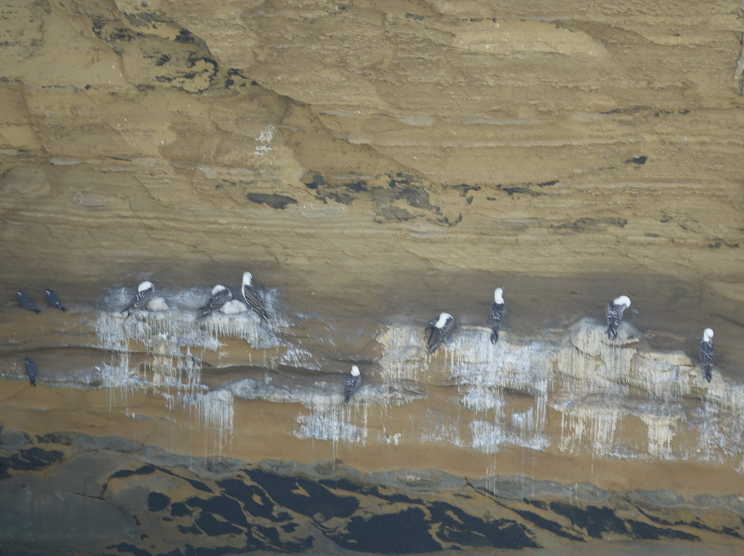 La Catedral-帕拉卡斯必去景点