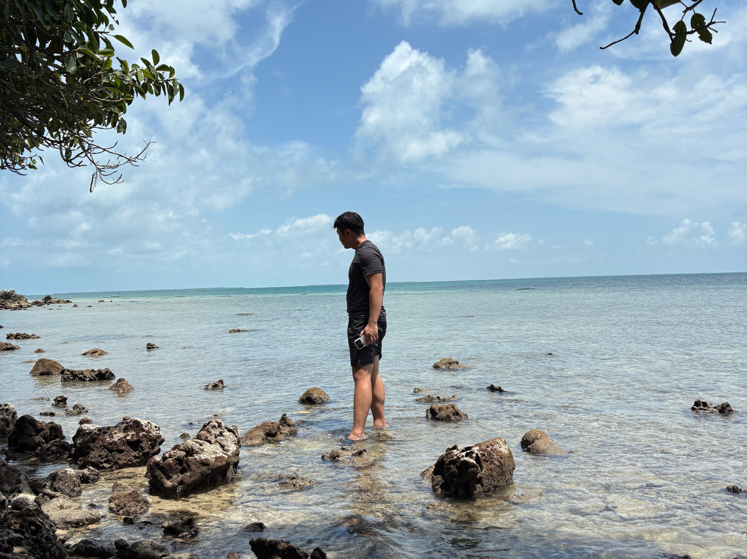 Neduntheevu-贾夫纳必去景点