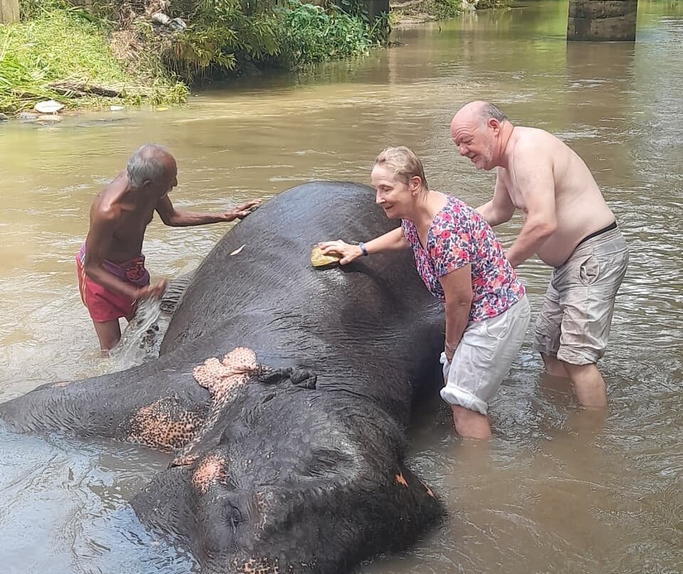 See Lanka Travels-Waikkal必去景点