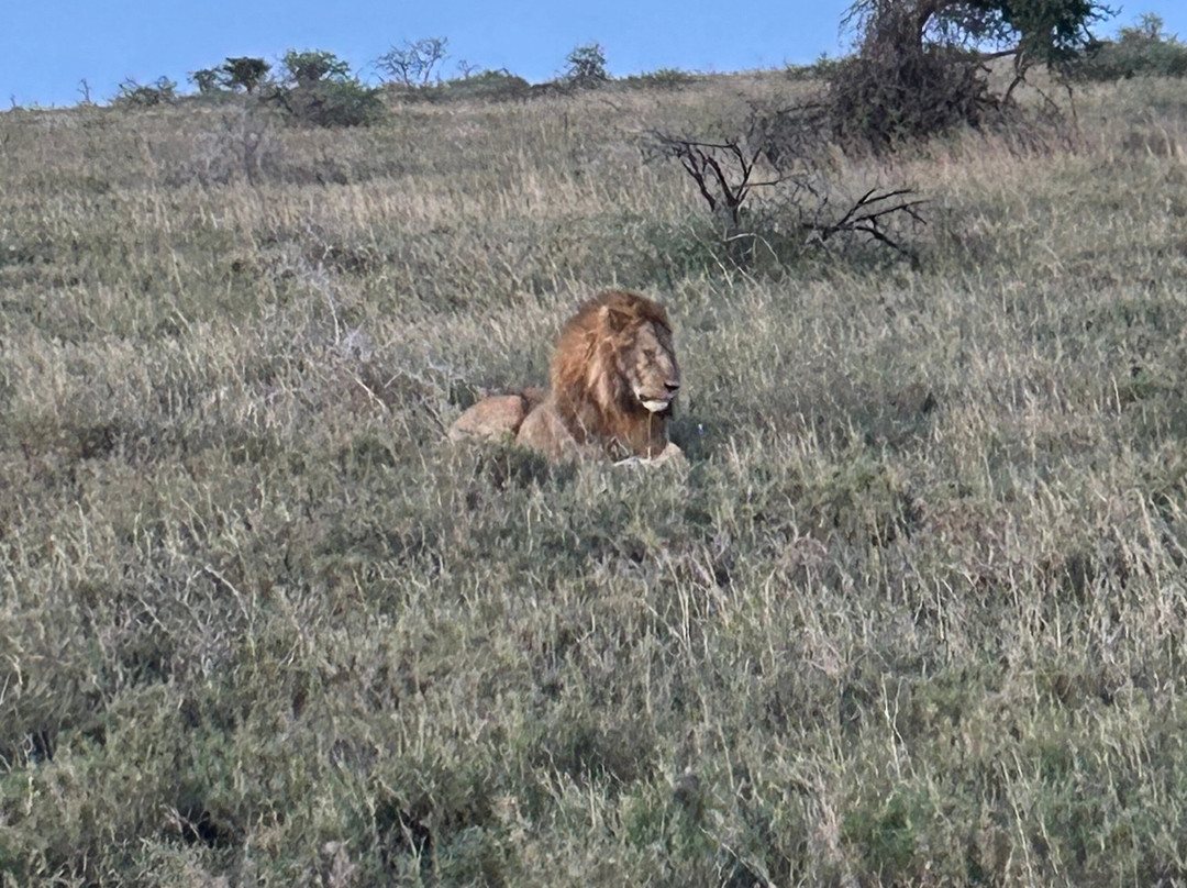 Access2Tanzania-阿鲁沙必去景点