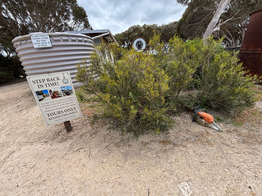 Emu Ridge Eucalyptus-金斯科特必去景点