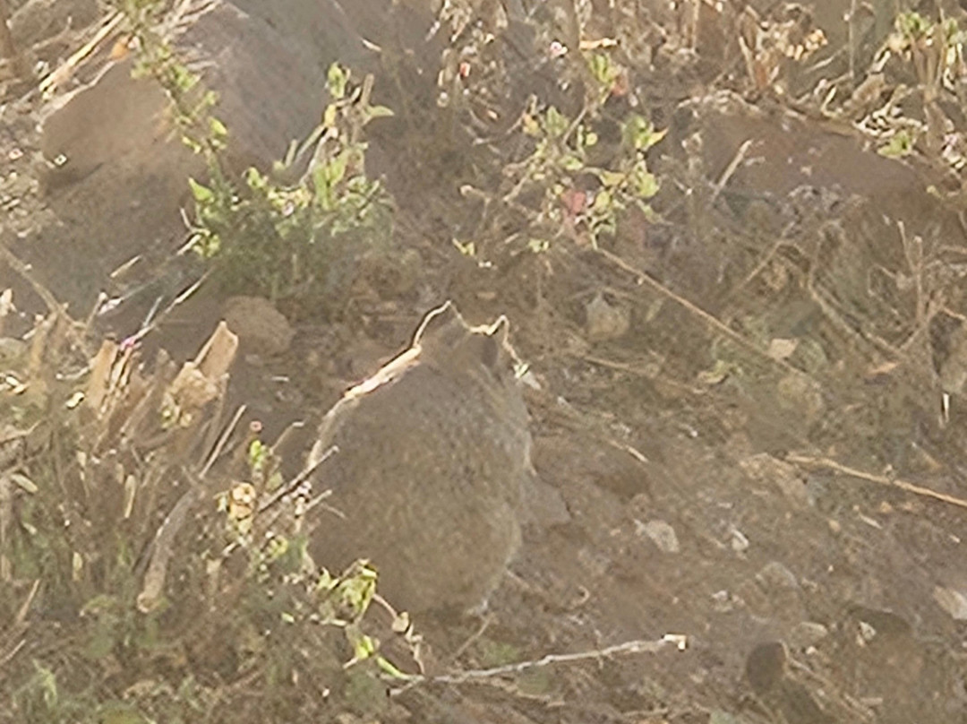 Ghl Hotel Lago Titicaca主图