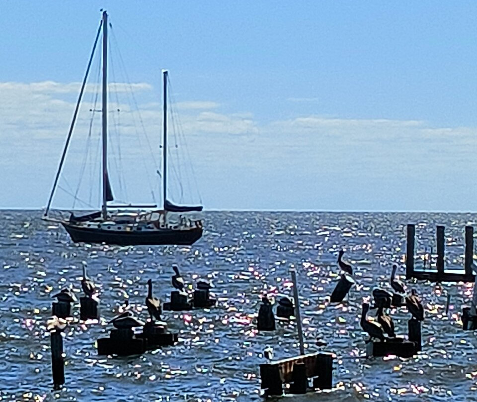Cedar Key Welcome Center-锡达礁必去景点